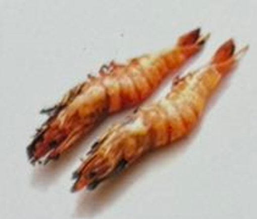 Image de Y4 Gambas