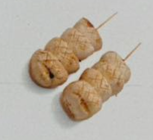 Image de Y10 Champignon